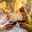 Load image into Gallery viewer, OCTOBER 2026 ARGENTINE WOMEN'S RETREAT