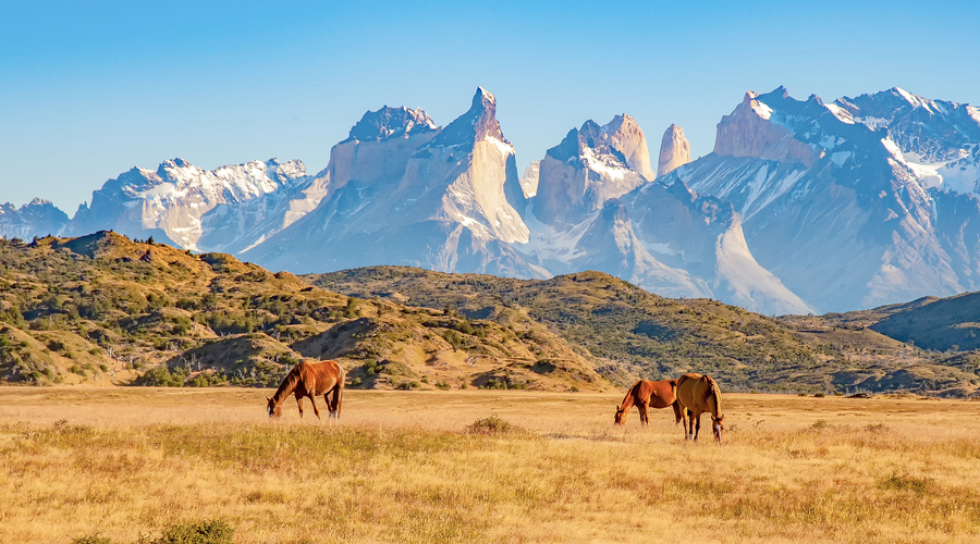 Elevated Patagonia