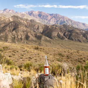 Reginato Sparkling Rose  of Malbec