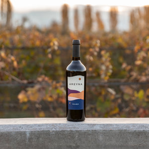 Areyna Malbec