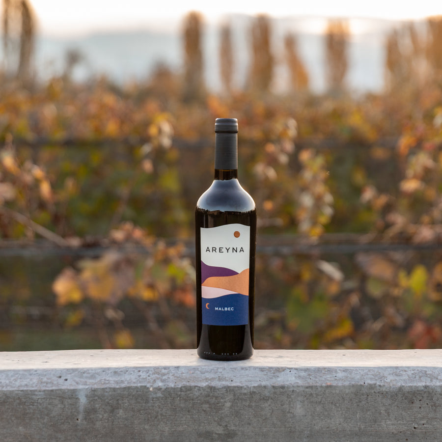 Areyna Malbec