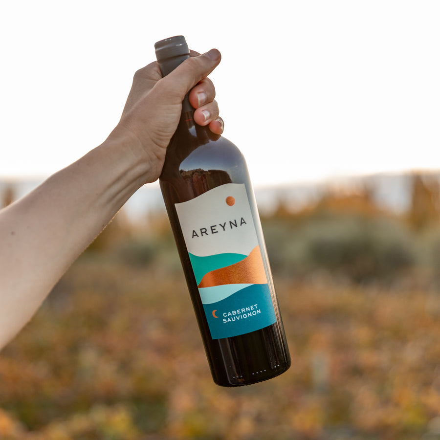 Areyna Cabernet Sauvignon