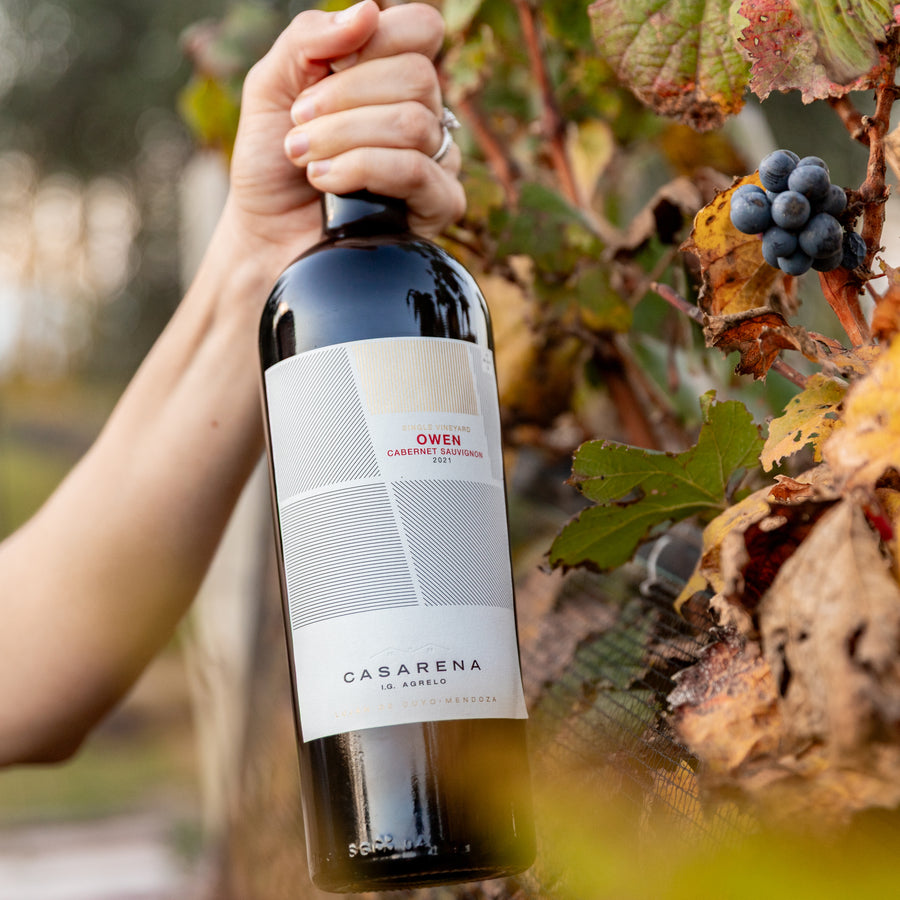 Casarena Owen Single Vineyard Cabernet Sauvignon