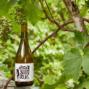 J. Bouchon Pais Salvaje Blanco