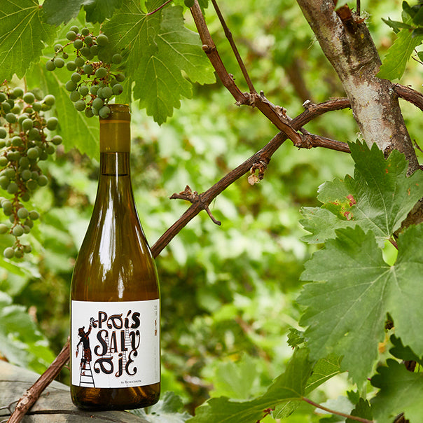 J. Bouchon Pais Salvaje Blanco